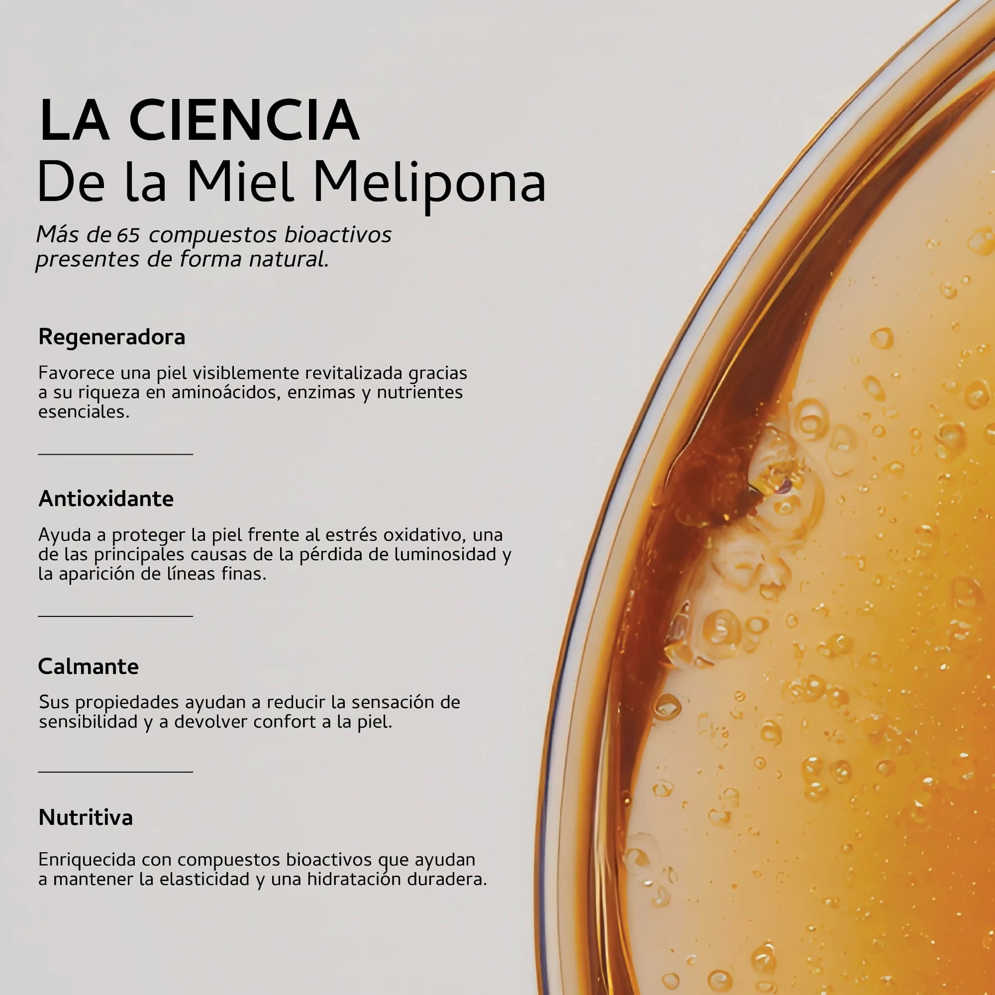 La ciencia de la Miel Melipona LUUM — 65 compuestos bioactivos: regeneradora, antioxidante, calmante y nutritiva