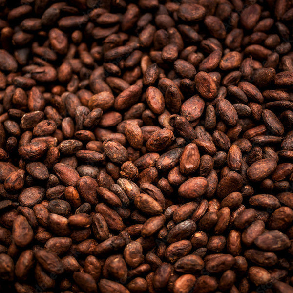 Extracto de Cacao