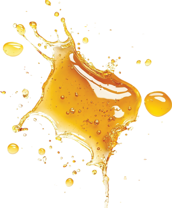 ¿Por qué miel Melipona?